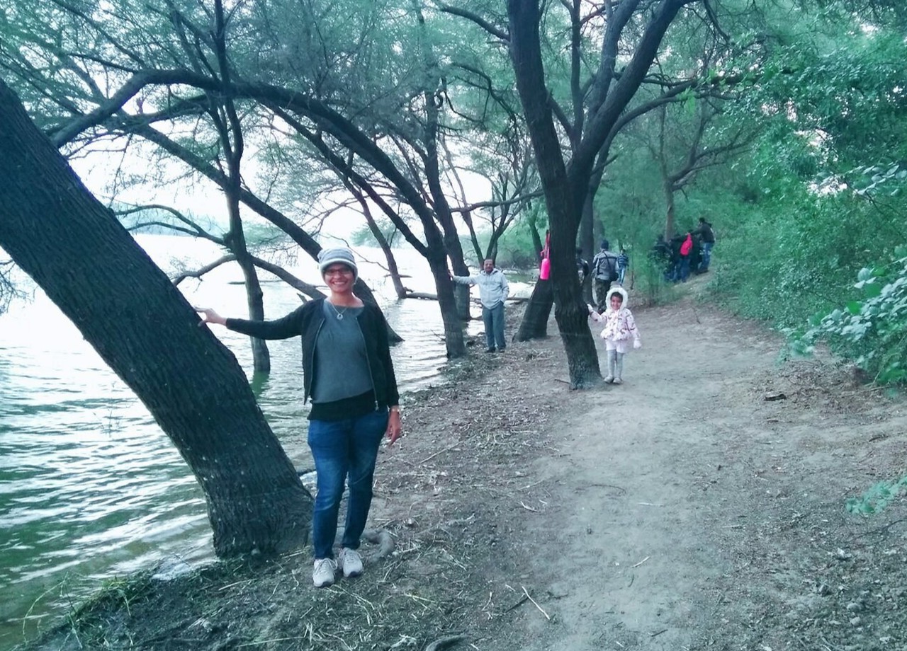 Thol Lake Bird Sanctuary